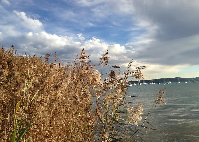 Plaza Desenzano del Garda
